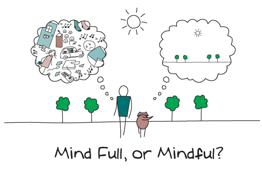 #214 Mindfulness Tips