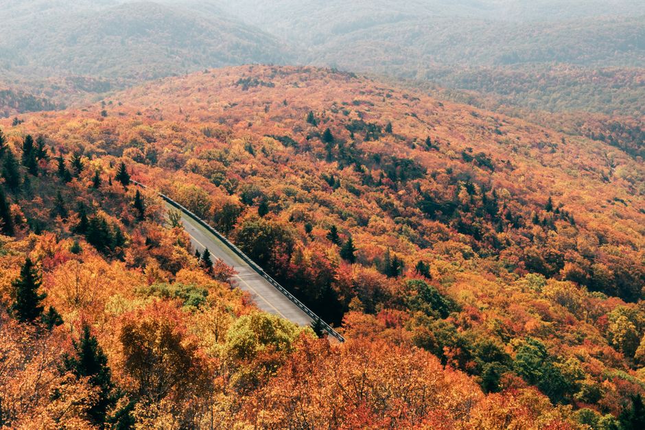 Aerial view of a scenic road slicing through a vibrant fall forest, showcasing vivid autumn foliage.