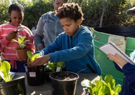 How to Teach Kids to Respect Nature with Fun Outdoor Activities