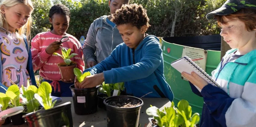 How to Teach Kids to Respect Nature with Fun Outdoor Activities