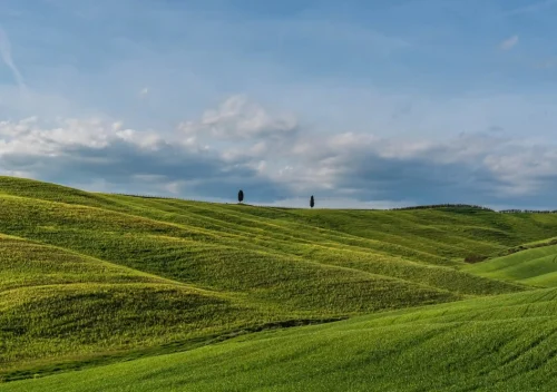 7 Outdoor Ethics Every Nature Lover Must Follow for Responsible Hiking