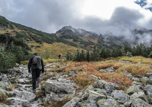 Outdoor Gear Stores: Avoid Online Traps, Buy Smart