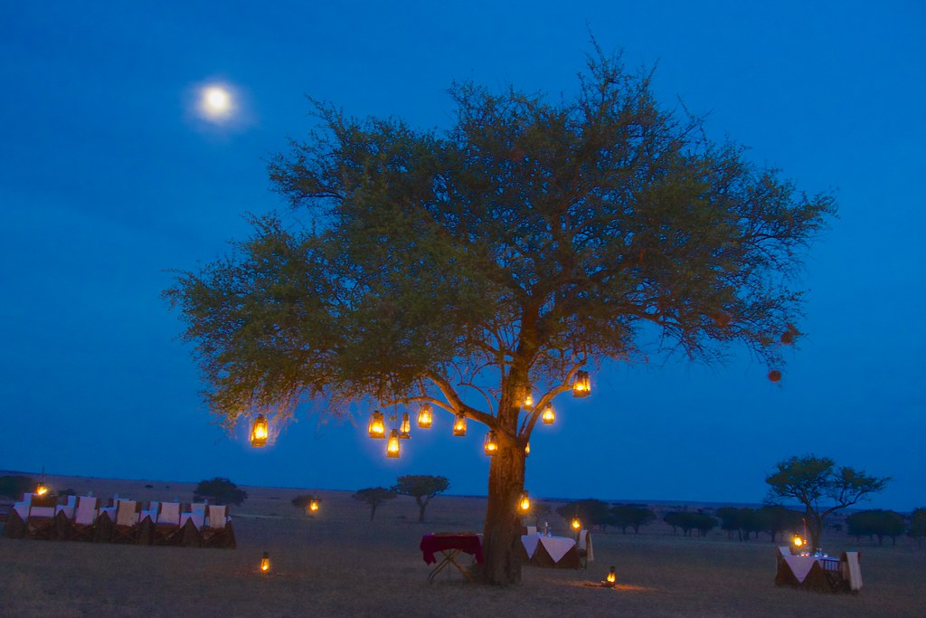 Outdoor Lantern Guide for Campsites and Patios outdoor detail