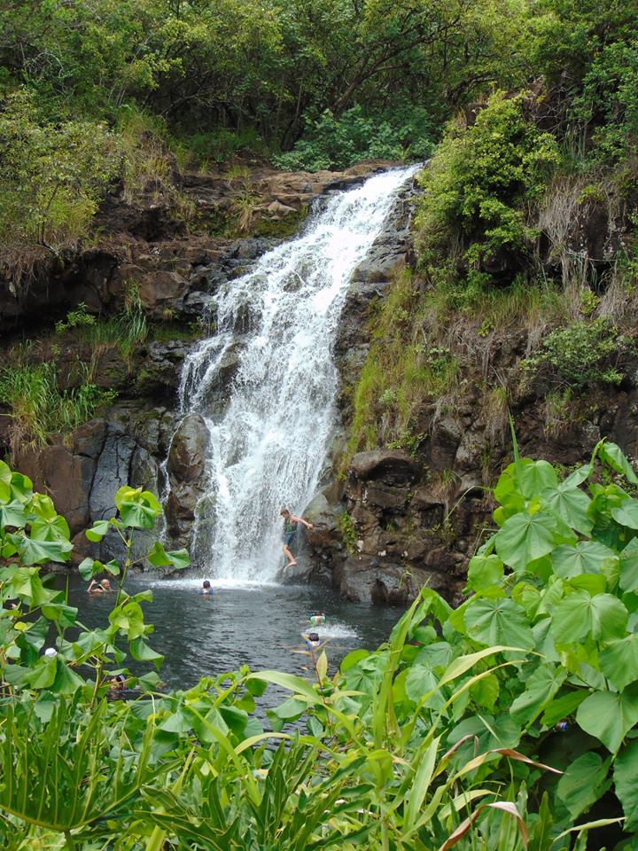 Waimea Falls, Oahu, Hawaii Waimea Falls, Oahu, Hawaii
