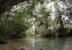 Weeki Wachee Springs, Florida – Kayaking & Paddle-boarding