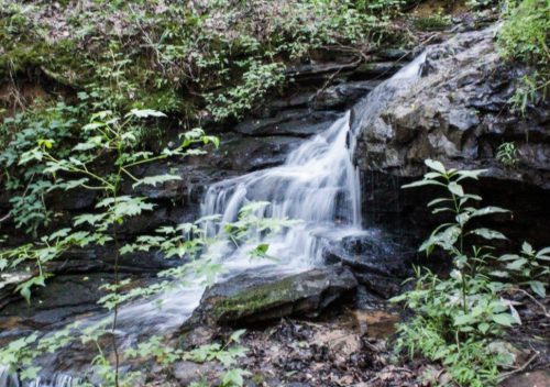Hiking Alum Hollow Trail in Huntsville, Alabama