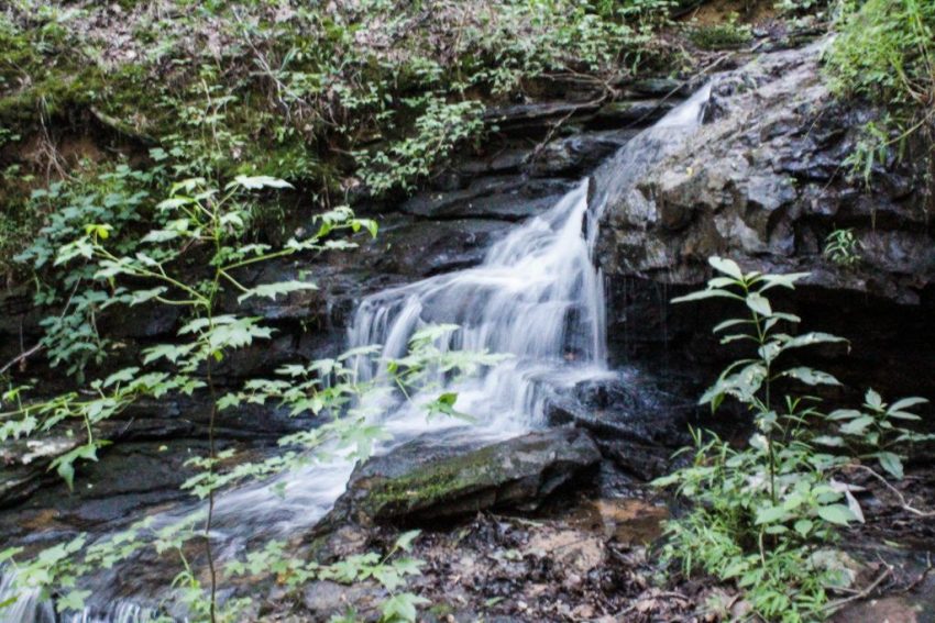 Hiking Alum Hollow Trail in Huntsville, Alabama Hiking Alum Hollow Trail in Huntsville, Alabama