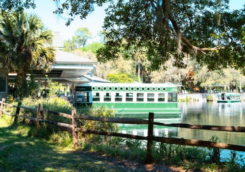 Ultimate Guide to Silver Springs State Park
