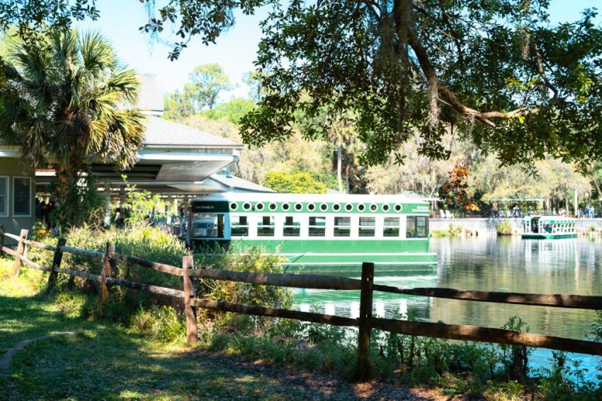 Ultimate Guide to Silver Springs State Park Ultimate Guide to Silver Springs State Park