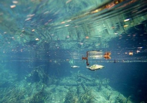 Kayaking At Silver Springs, Florida