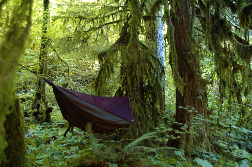 Hammock Camping Basics for Trees Straps and Sleep Comfort outdoor detail