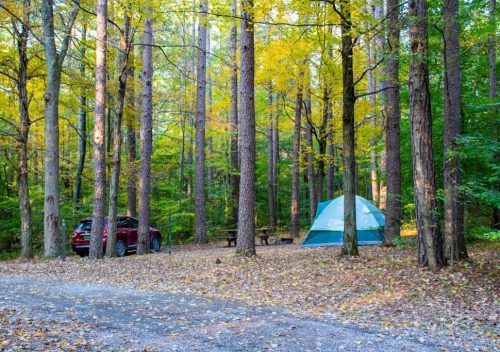 20 Rude and Annoying Things Campers Do at Campgrounds