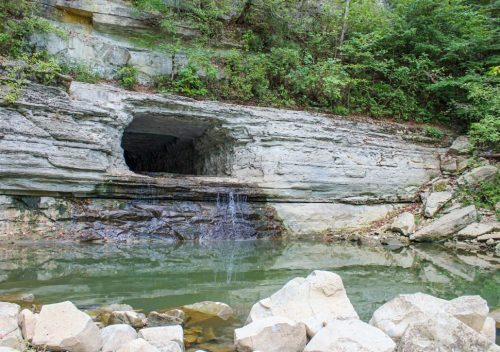 Harpeth River State Park Hiking Guide