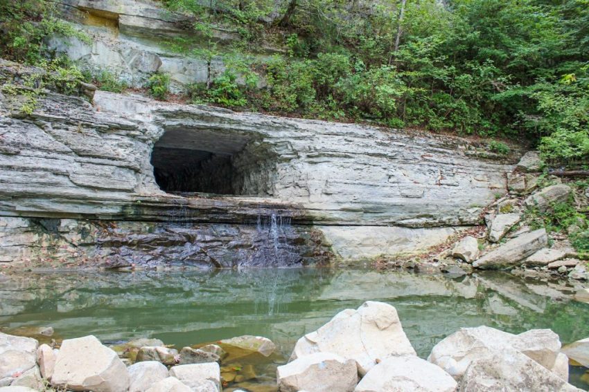 Harpeth River State Park Hiking Guide Harpeth River State Park Hiking Guide