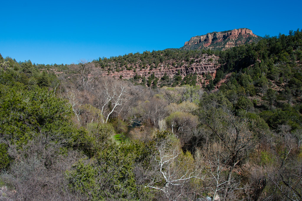 Beginner Day Hiking Checklist for Local Trails outdoor detail