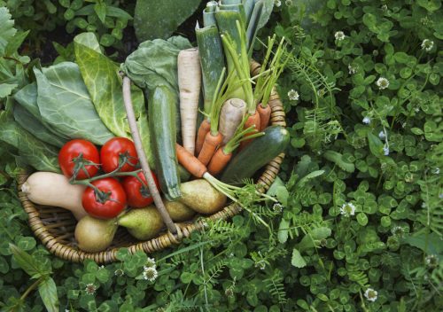 Fruits and Vegetables all-day