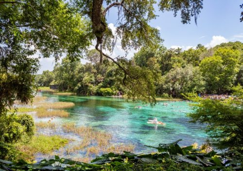 Rainbow Springs State Park, Florida
