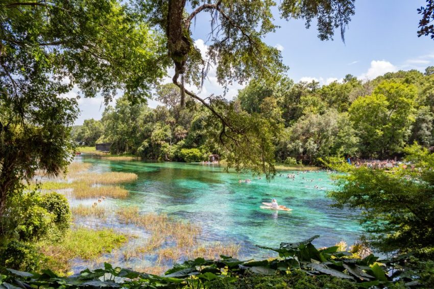 Rainbow Springs State Park, Florida Rainbow Springs State Park, Florida