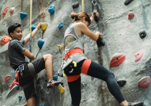 Husqvarna Climbing Harness Review: Analysis of the Arborist Saddle Performance 2024