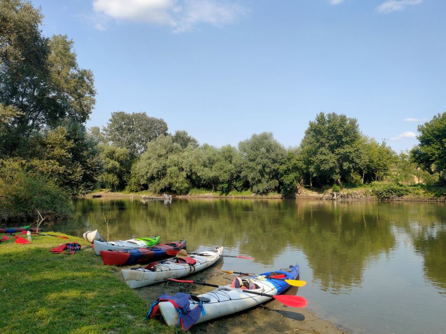 Kayaks resting on a grassy lakeshore near the water