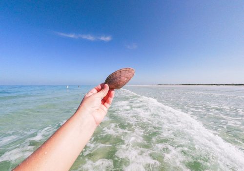 Visiting Fort De Soto Park In St. Petersburg, Florida