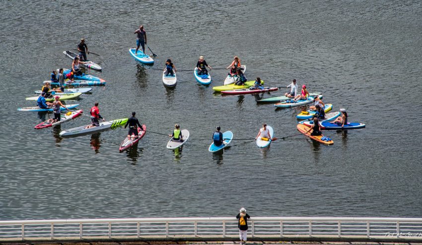 Paddleboard Safety Basics for Beginners on Calm Water
