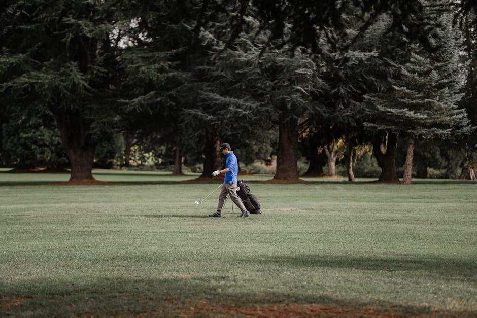 A golfer enjoying a sunny day on a lush green golf course surrounded by trees.
