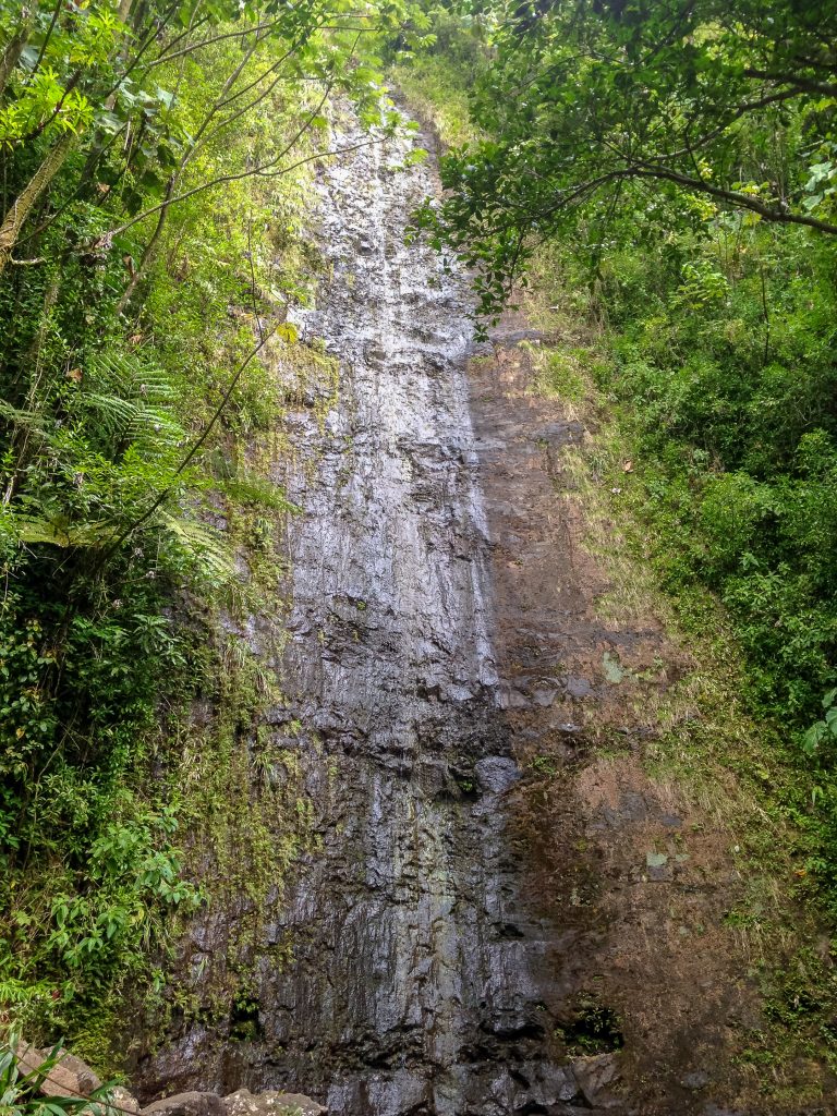 Manoa Falls Trail Guide: Easy Hike Near Honolulu Manoa Falls Trail Guide: Easy Hike Near Honolulu