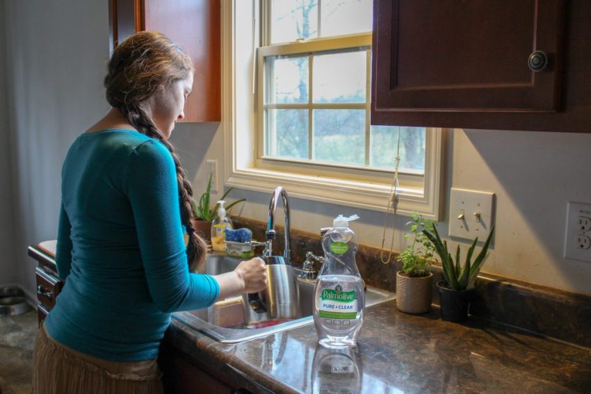 A Clean Sustainable Kitchen A Clean Sustainable Kitchen