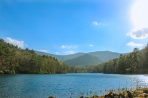 Camping At Vogel State Park