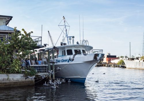Ultimate Travel Guide To The Sponge Docks in Tarpon Springs, Florida