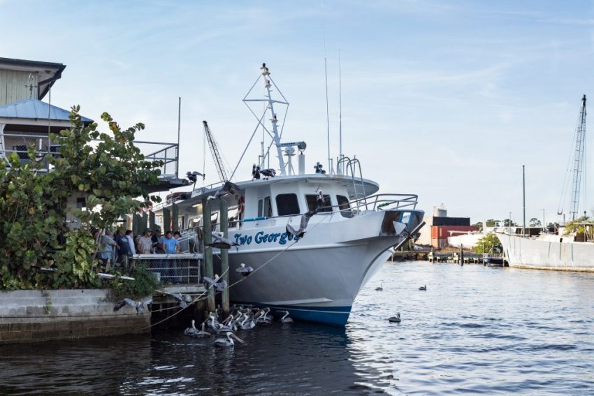 Ultimate Travel Guide To The Sponge Docks in Tarpon Springs, Florida